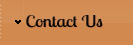 Restaurants Williamstown MA, Indian Restaurants In Williamstown MA, Indian Restaurants Berkshires, Indian Food In Williamstown MA, Dining In The Berkshires
